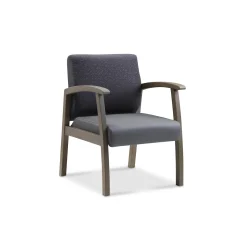 Meadow Creek Guest Chair with Arms