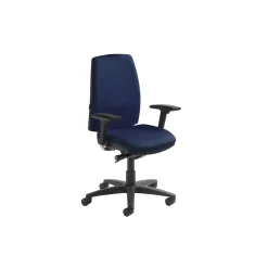 Mid Back Ergonomic Executive Chair