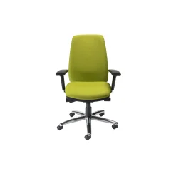 Mid Back Ergonomic Executive Chair