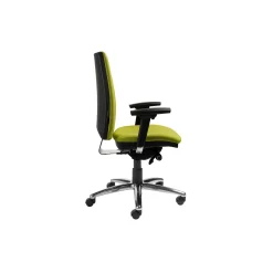 Mid Back Ergonomic Executive Chair