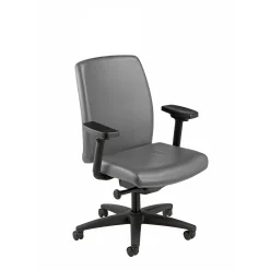 Mid Back Leather Chair