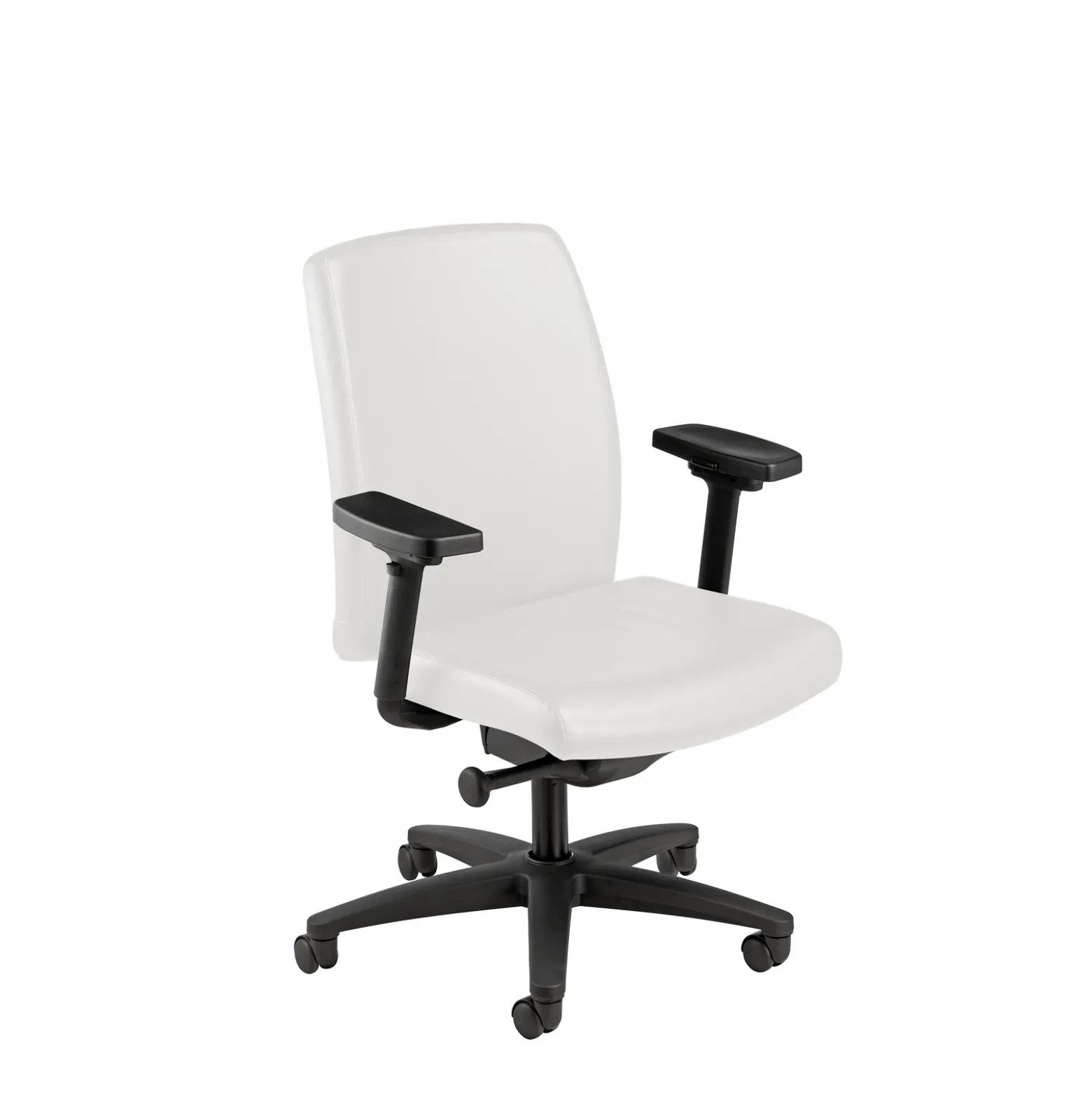 Mid Back Leather Chair