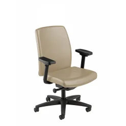 Mid Back Leather Chair