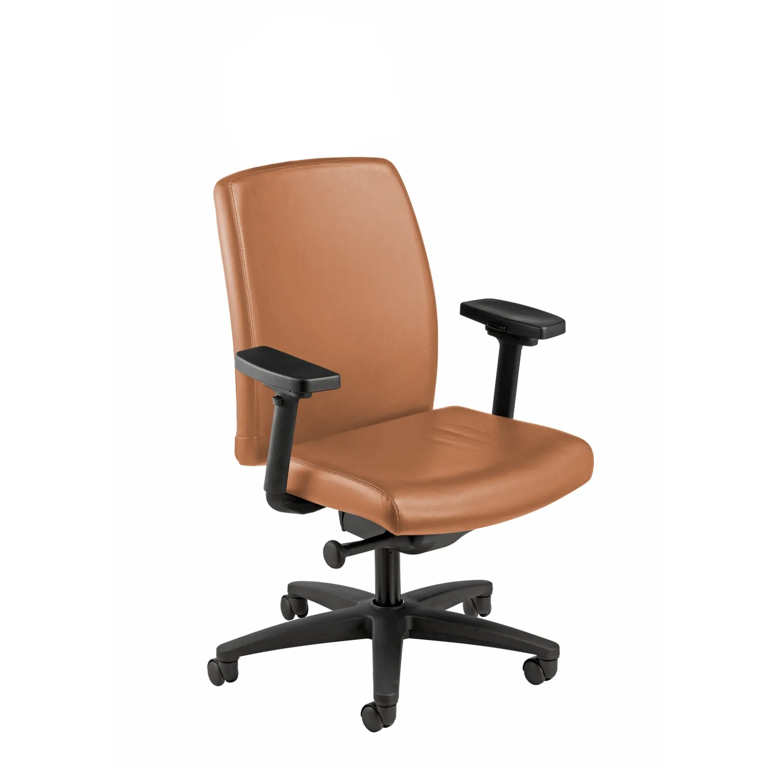 Mid Back Leather Chair