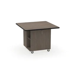Mini Nucleus Workstation - 48