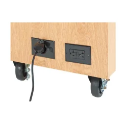 Mobile Biology Lab Demonstration Table with Sink
