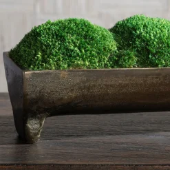Moss Centerpiece Accent