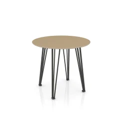 Newhouse Round Table 48
