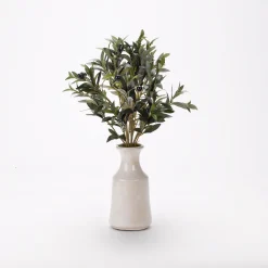 Olive Spray in White Ceramic Bottle with Tall Neck