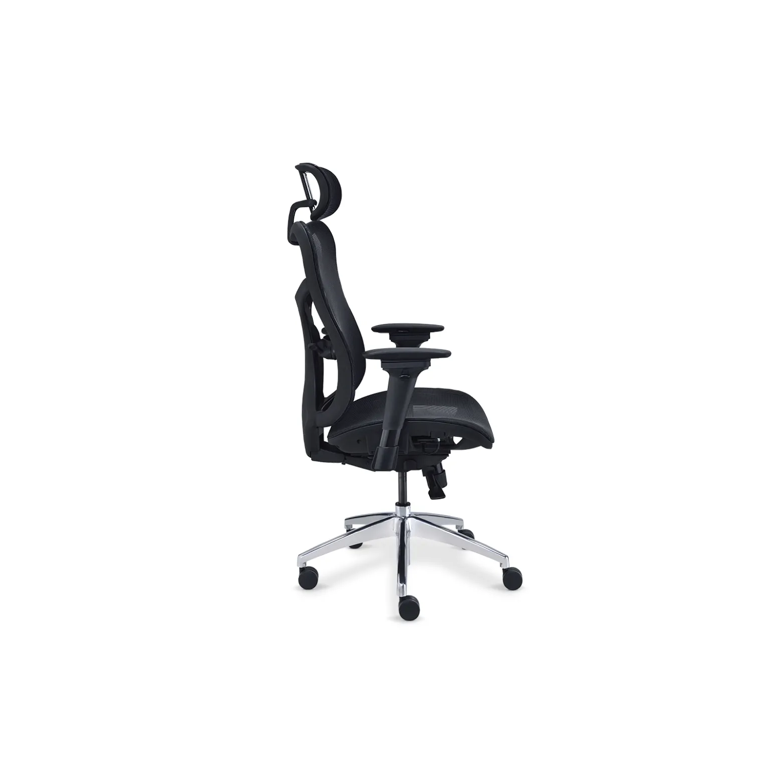 Rand All-Mesh Ergonomic Office Chair with Headrest