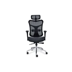 Rand All-Mesh Ergonomic Office Chair with Headrest