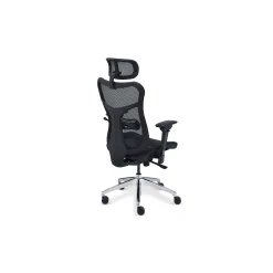 Rand All-Mesh Ergonomic Office Chair with Headrest