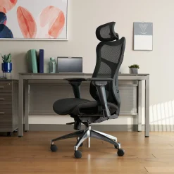 Rand All-Mesh Ergonomic Office Chair with Headrest
