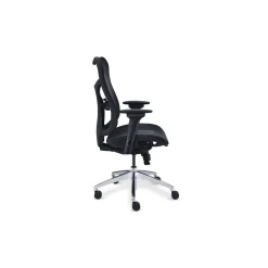 Rand Ergonomic Mesh Executive Office Chair