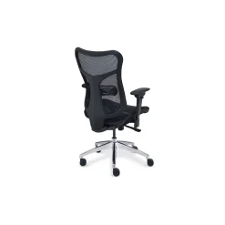 Rand Ergonomic Mesh Executive Office Chair