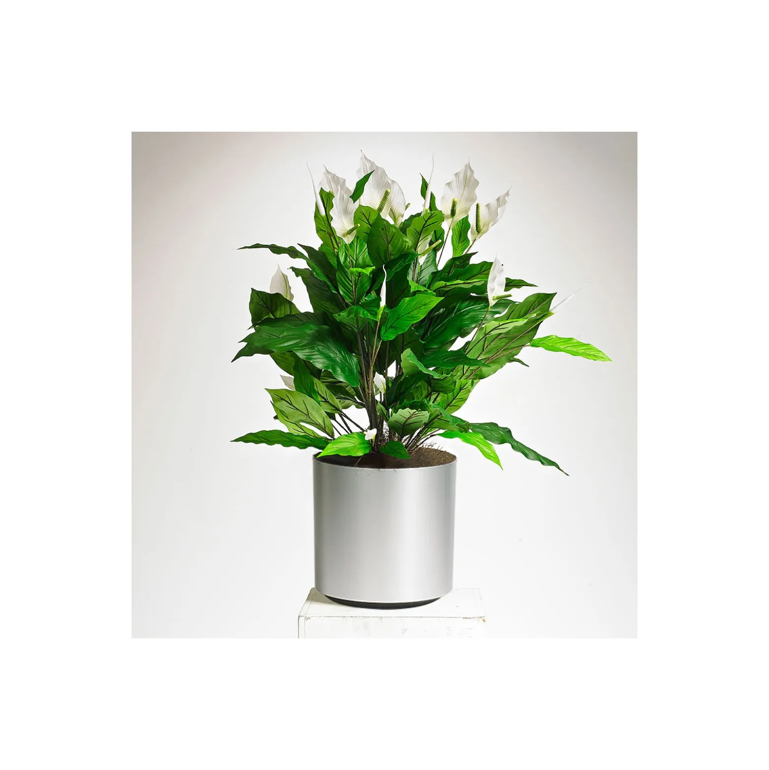 Realistic White Peace Lily Plant - 3 Ft.