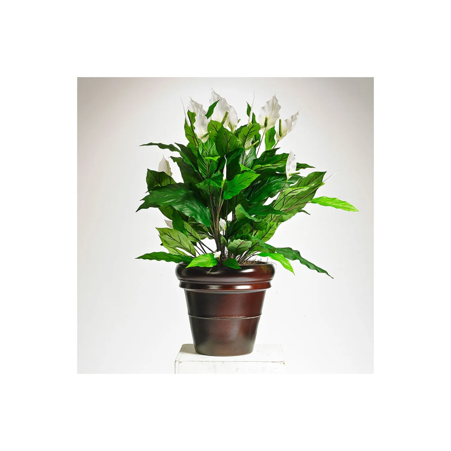 Realistic White Peace Lily Plant - 3 Ft.