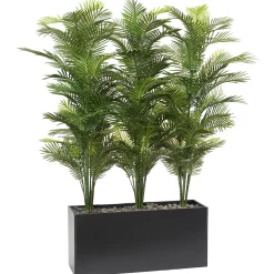 Robellini Palm Screen In Rectangle Planter - 74"H
