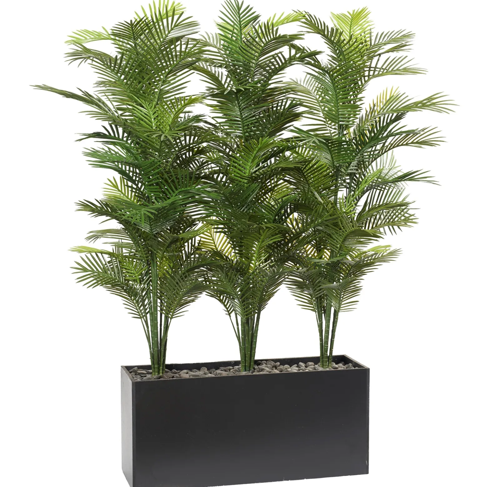Robellini Palm Screen In Rectangle Planter - 74"H