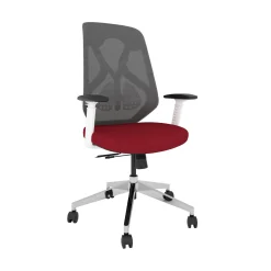 Roswell Ergonomic Office Chair with Modern Design