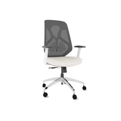 Roswell Ergonomic Office Chair with Modern Design