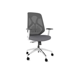 Roswell Ergonomic Office Chair with Modern Design
