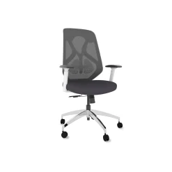Roswell Ergonomic Office Chair with Modern Design