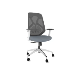 Roswell Ergonomic Office Chair with Modern Design