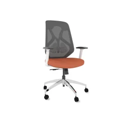 Roswell Ergonomic Office Chair with Modern Design