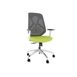 Roswell Ergonomic Office Chair with Modern Design