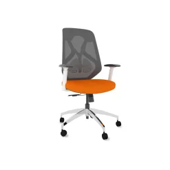 Roswell Ergonomic Office Chair with Modern Design