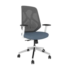 Roswell Ergonomic Office Chair with Modern Design
