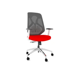 Roswell Ergonomic Office Chair with Modern Design