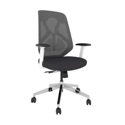 Roswell Ergonomic Office Chair with Modern Design
