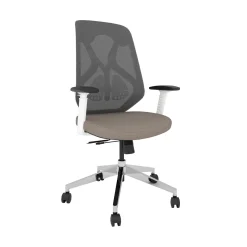 Roswell Ergonomic Office Chair with Modern Design