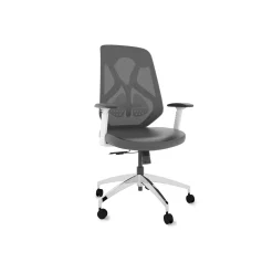 Roswell Ergonomic Office Chair with Modern Design