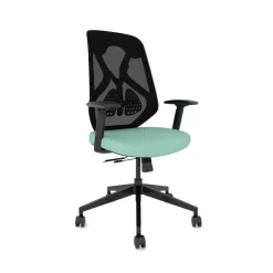 Roswell Ergonomic Task Chair with Modern Design-Black/Black
