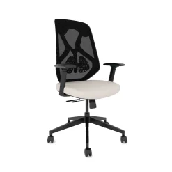 Roswell Ergonomic Task Chair with Modern Design-Black/Black