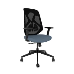 Roswell Ergonomic Task Chair with Modern Design-Black/Black