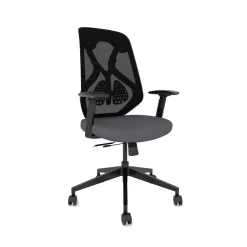 Roswell Ergonomic Task Chair with Modern Design-Black/Black