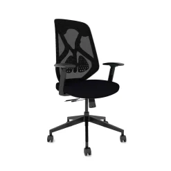 Roswell Ergonomic Task Chair with Modern Design-Black/Black
