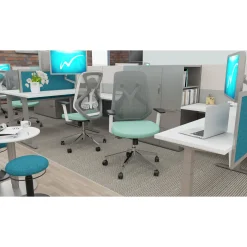 Roswell Ergonomic Task Chair with Modern Design-Black/Grey