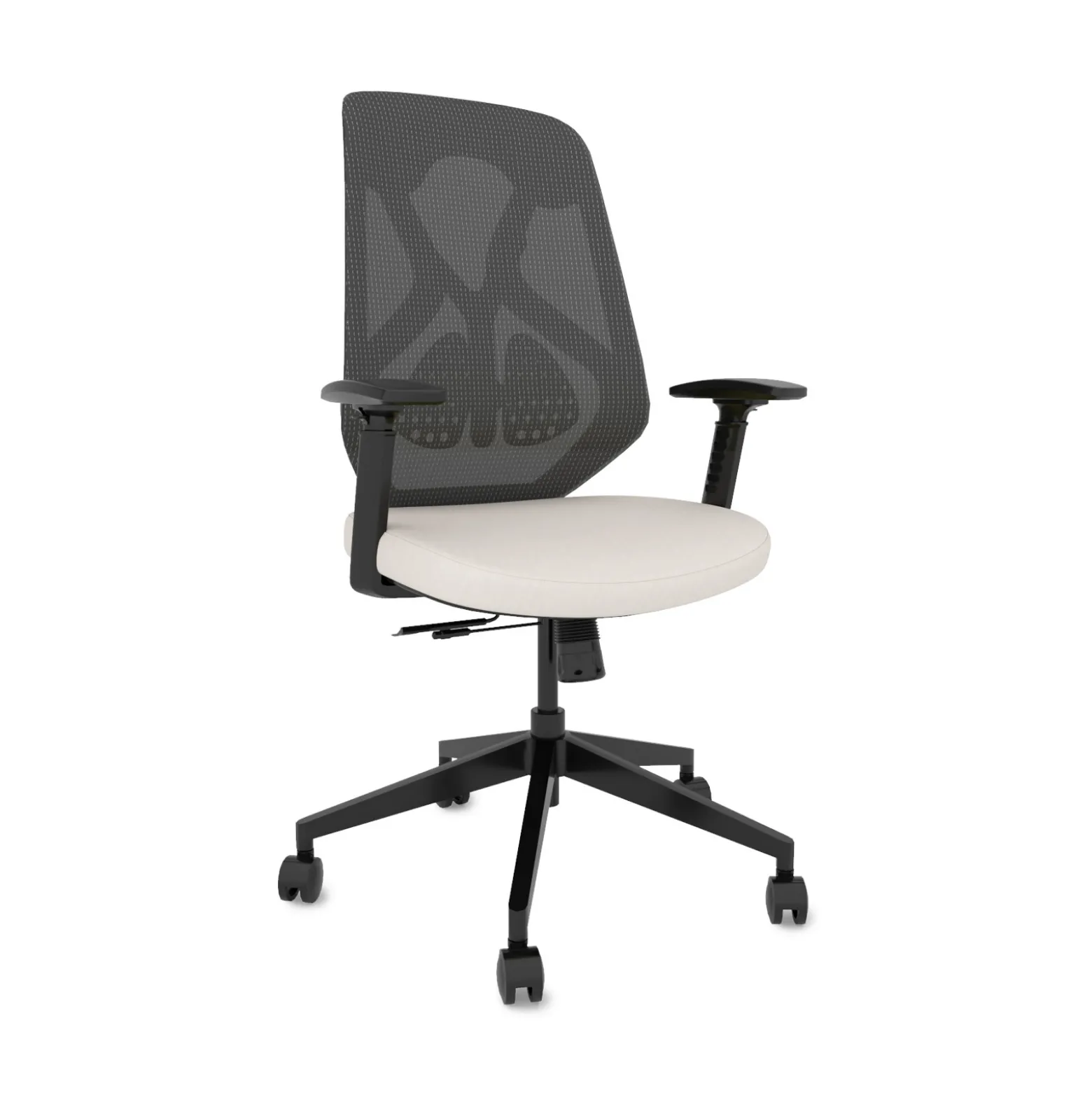 Roswell Ergonomic Task Chair with Modern Design-Black/Grey