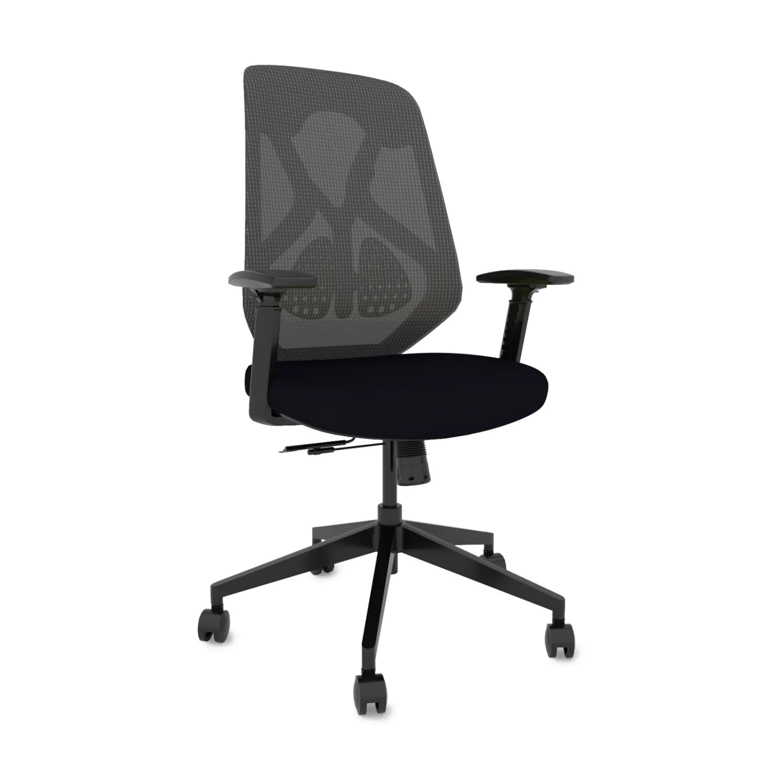 Roswell Ergonomic Task Chair with Modern Design-Black/Grey