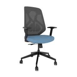 Roswell Ergonomic Task Chair with Modern Design-Black/Grey