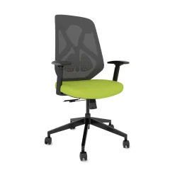 Roswell Ergonomic Task Chair with Modern Design-Black/Grey