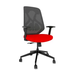 Roswell Ergonomic Task Chair with Modern Design-Black/Grey