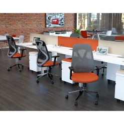 Roswell Ergonomic Task Chair with Modern Design-Black/Grey