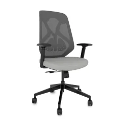 Roswell Ergonomic Task Chair with Modern Design-Black/Grey