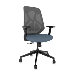 Roswell Ergonomic Task Chair with Modern Design-Black/Grey